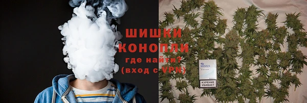 тгк Дмитровск