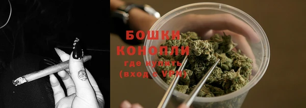 бошки Нея