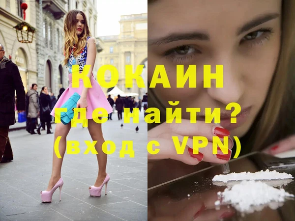 тгк Дмитровск
