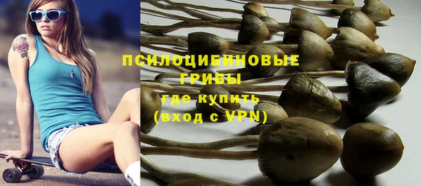 бошки Нея