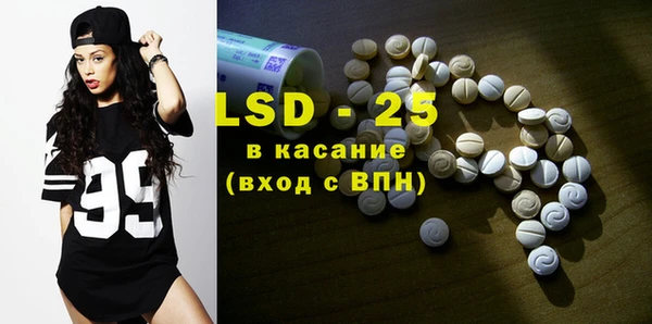 ешки Новодвинск