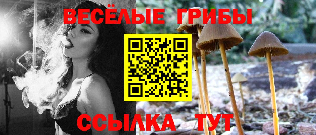 Пыть-Ях  Псилоцибиновые грибы Psilocybe  Вход с VPN 