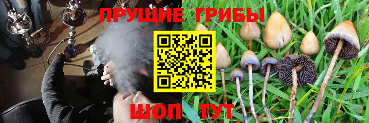 Галлюциногенные грибы MAGIC MUSHROOMS Пыть-Ях